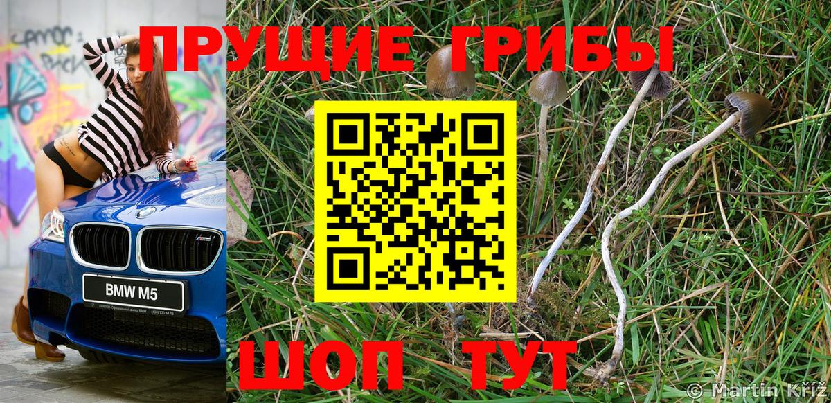 Псилоцибиновые грибы мухоморы  Вход с VPN  Дербент  Псилоцибиновые грибы мухоморы 